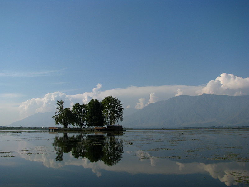 trip image