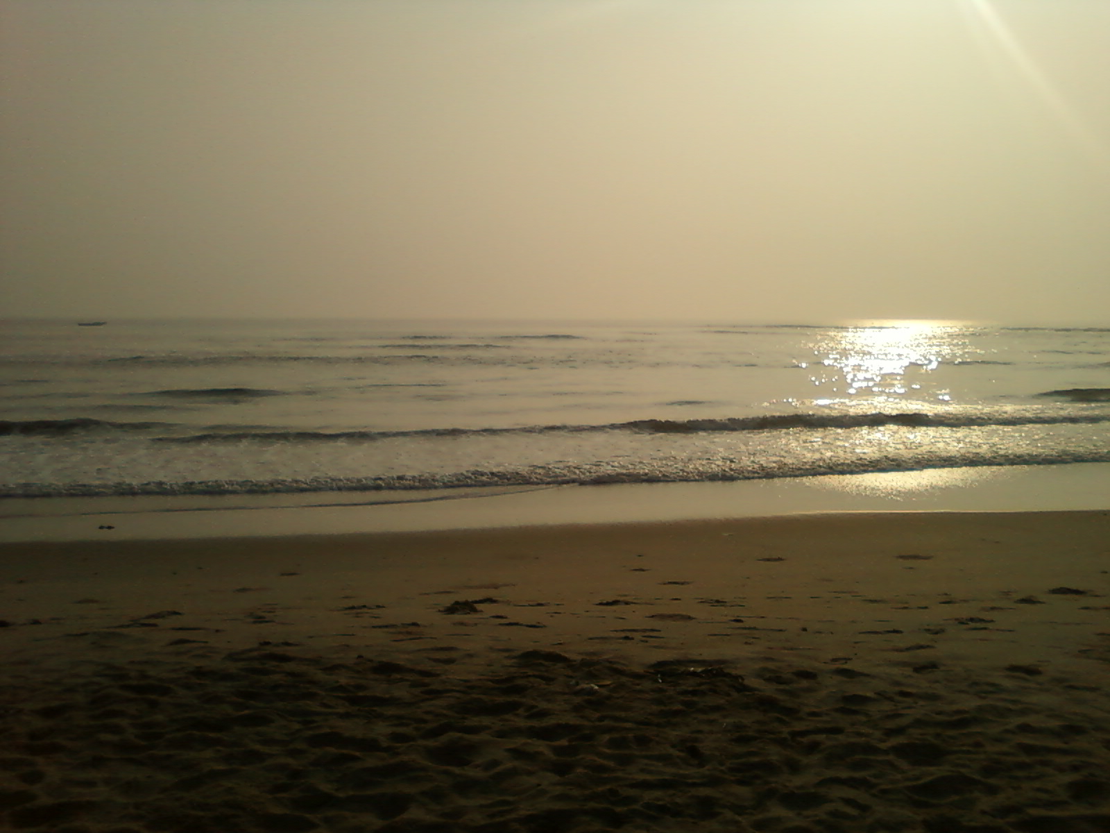 trip image
