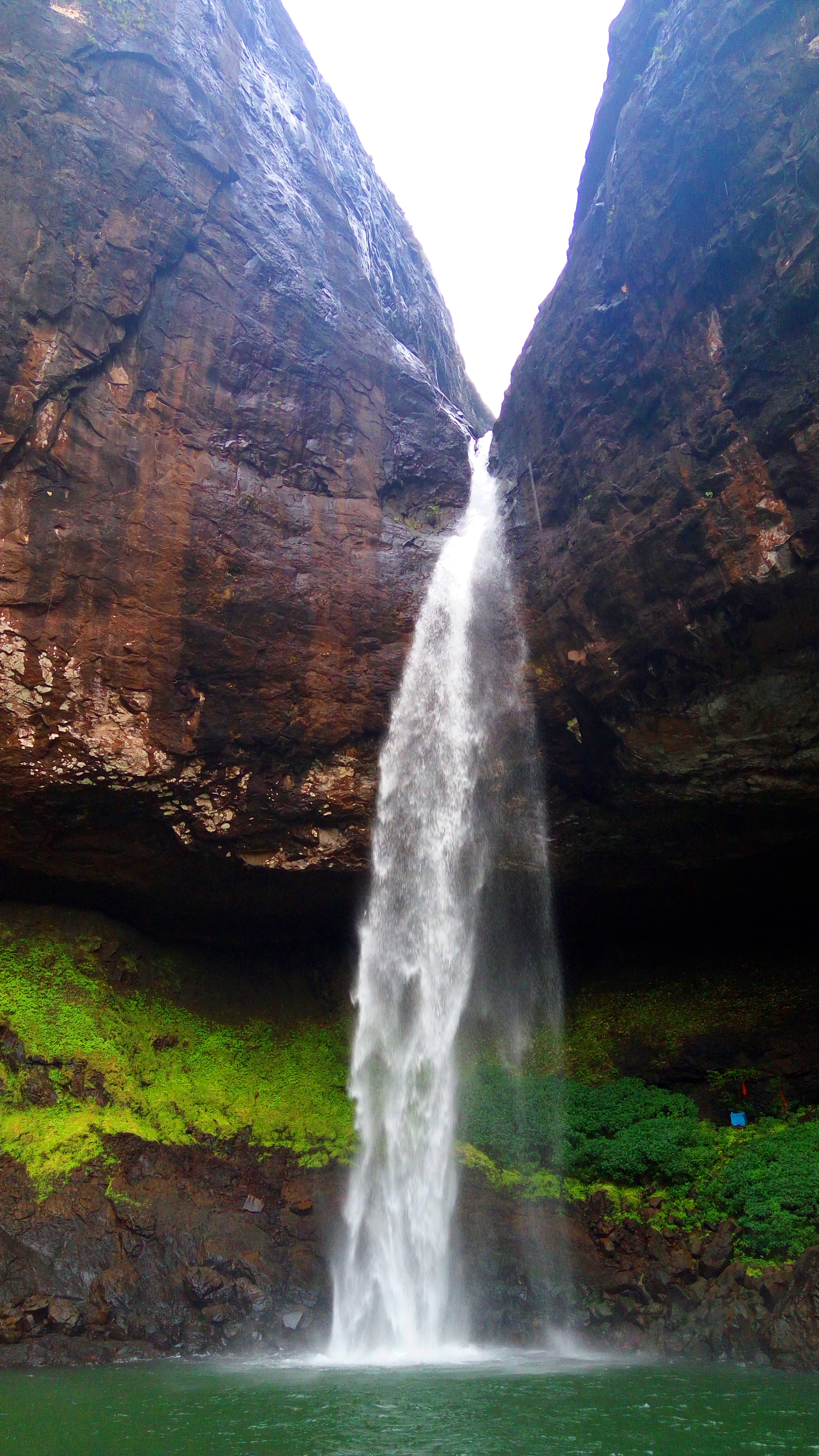 trip image
